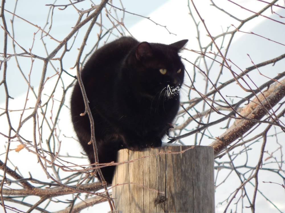 Photograph by Иван Кирилков