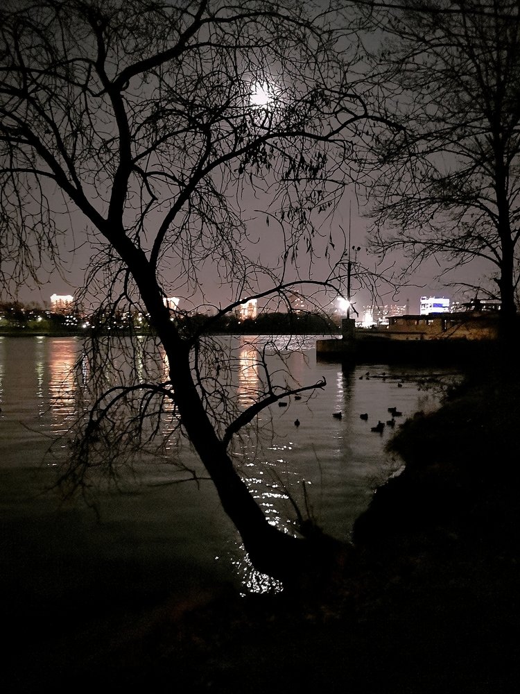 Лунные утки...