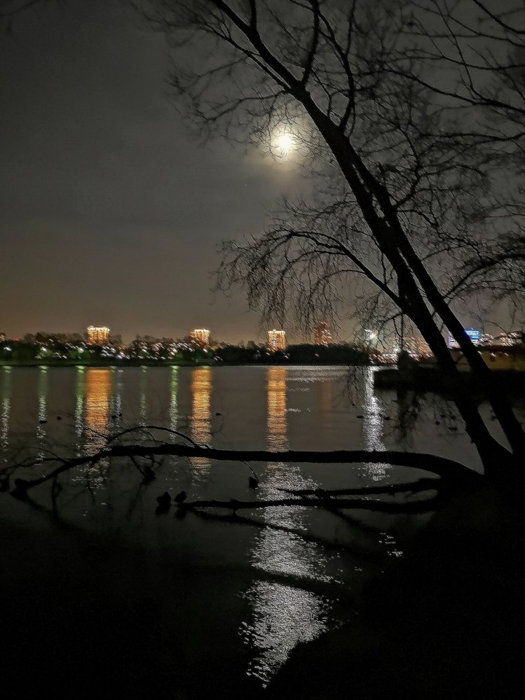 Лунная дорожка...