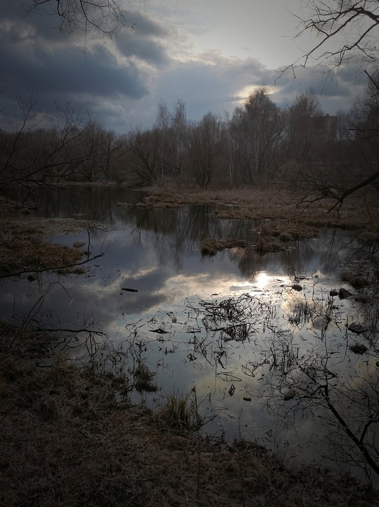 Лунный свет...