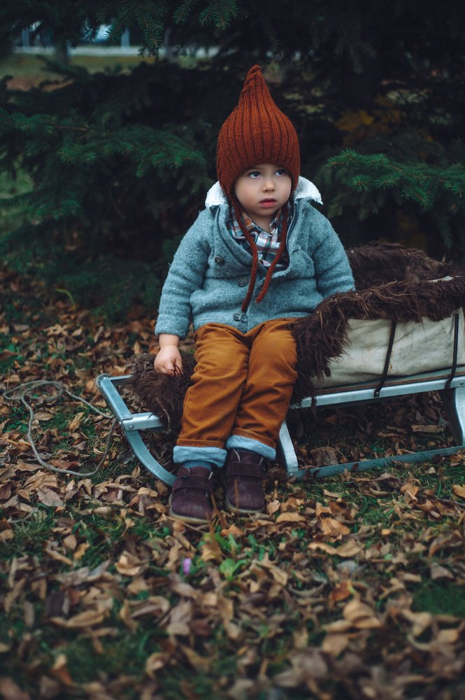 Лесник и гномик