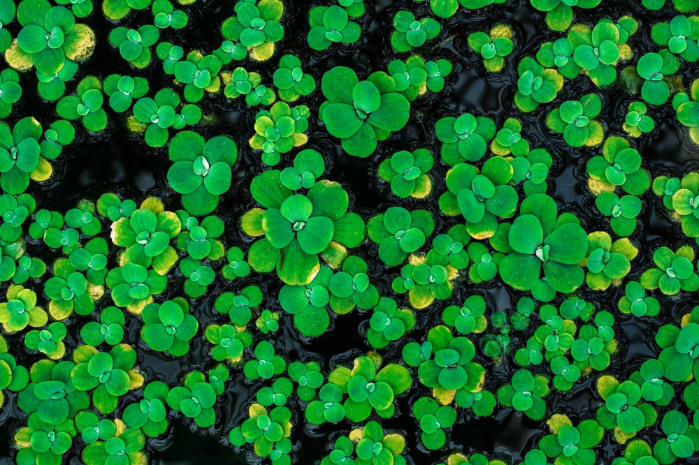 Photograph by Соша Грухина