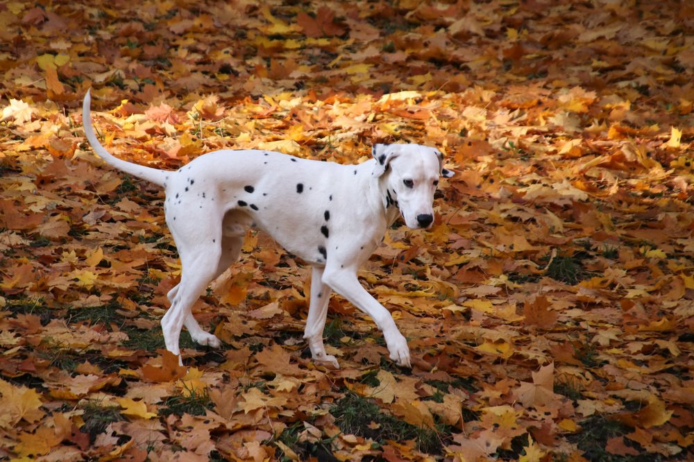 Photograph by Наталья Гайдукевич