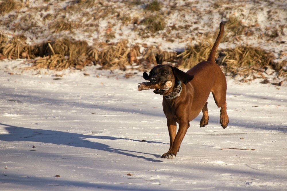 Photograph by Наталья Гайдукевич