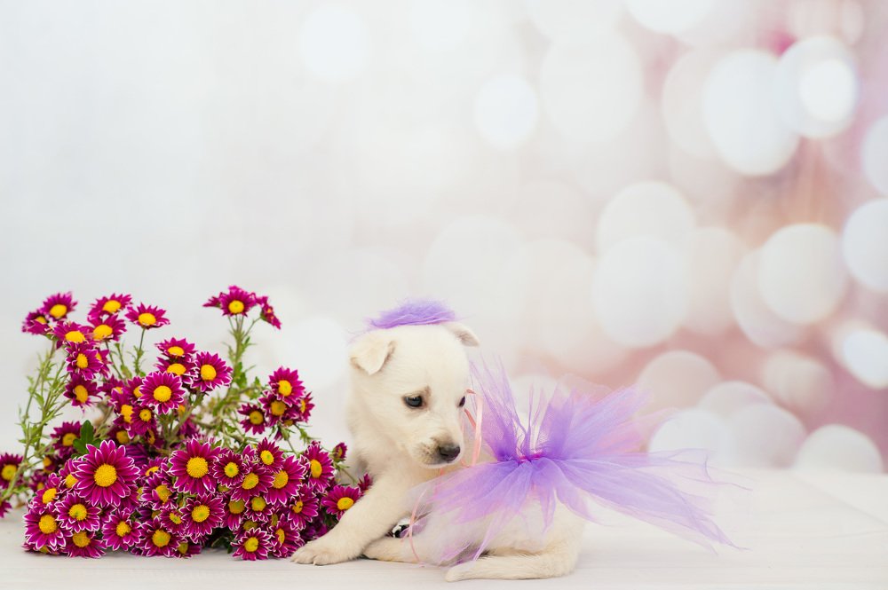 Photograph by Яна Украинец