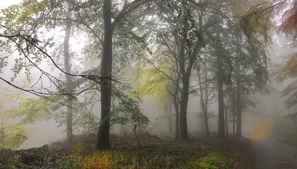 В тумане кусочек солнечного блика