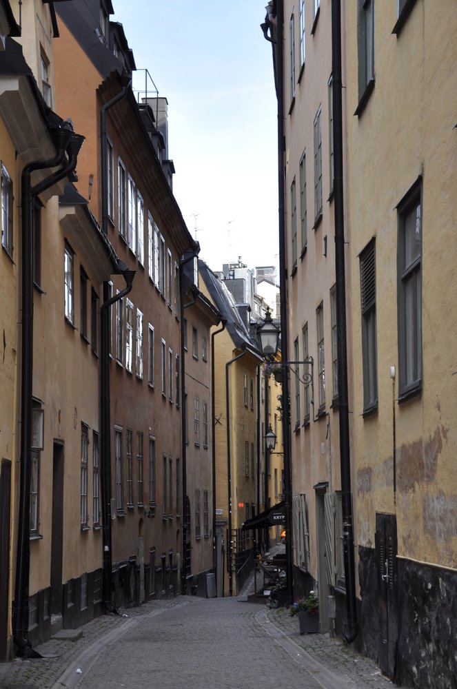 Photograph by Виктория Зимановская