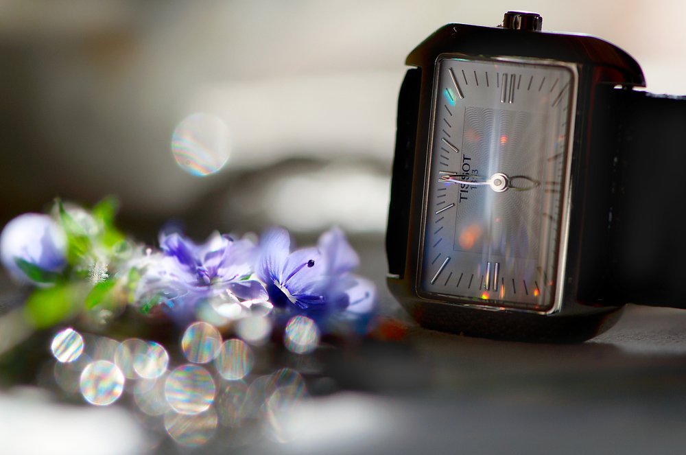 Photograph by Antonina