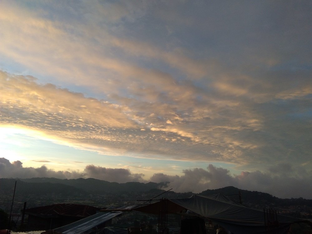 Photo #3892662