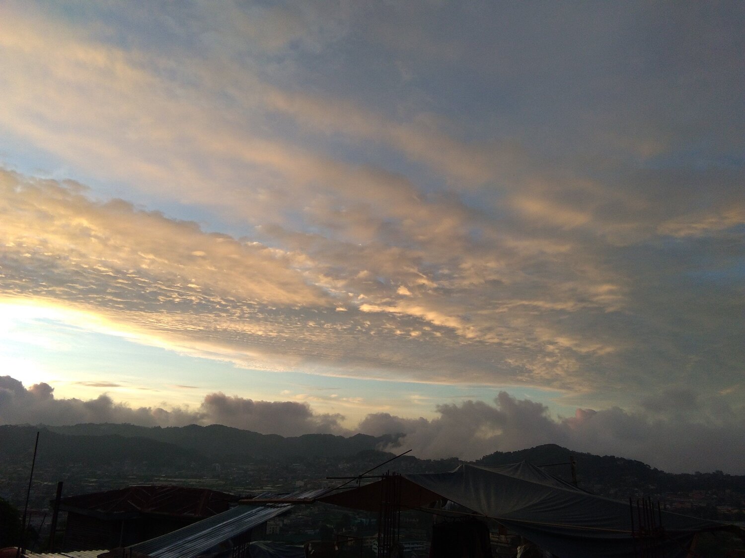 Photo #3892662