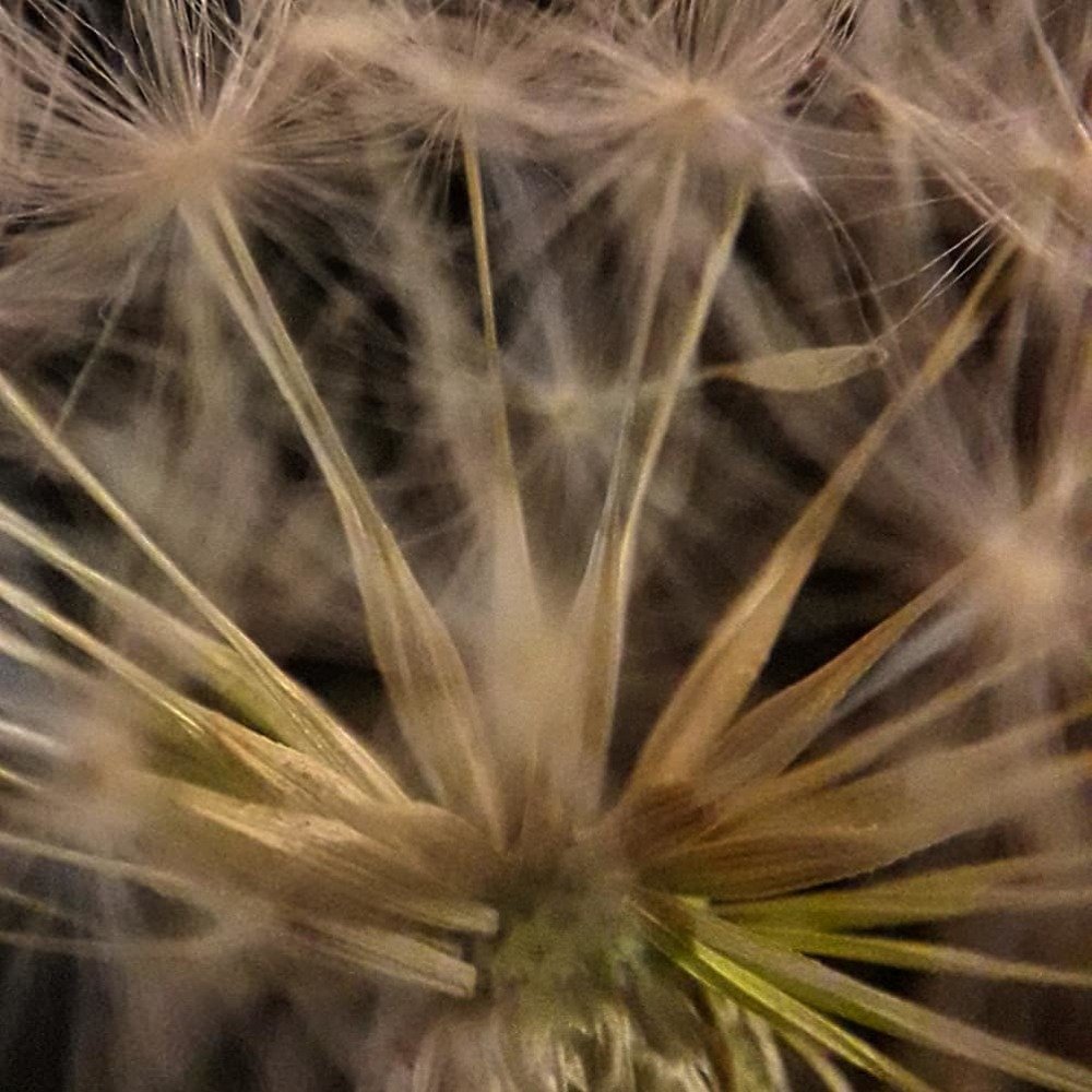 Photograph by Оксана Кочубеева