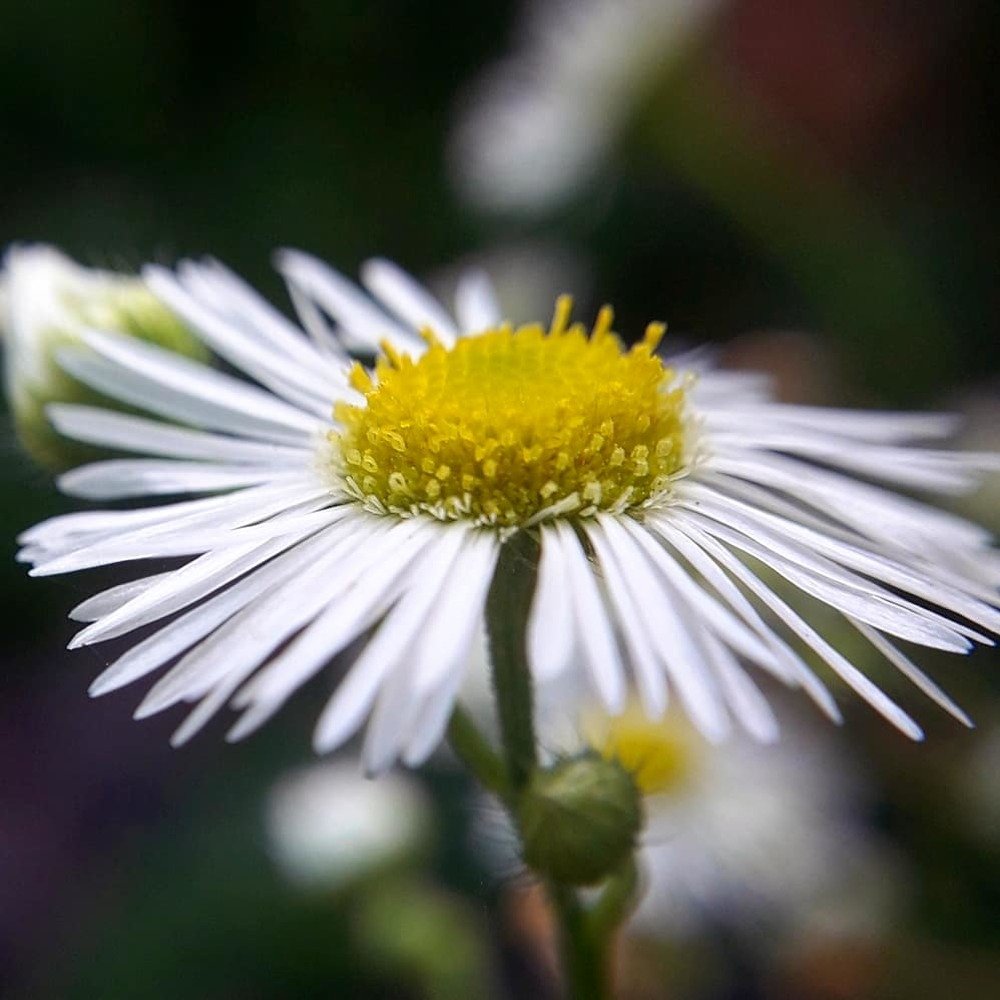 Photograph by Оксана Кочубеева