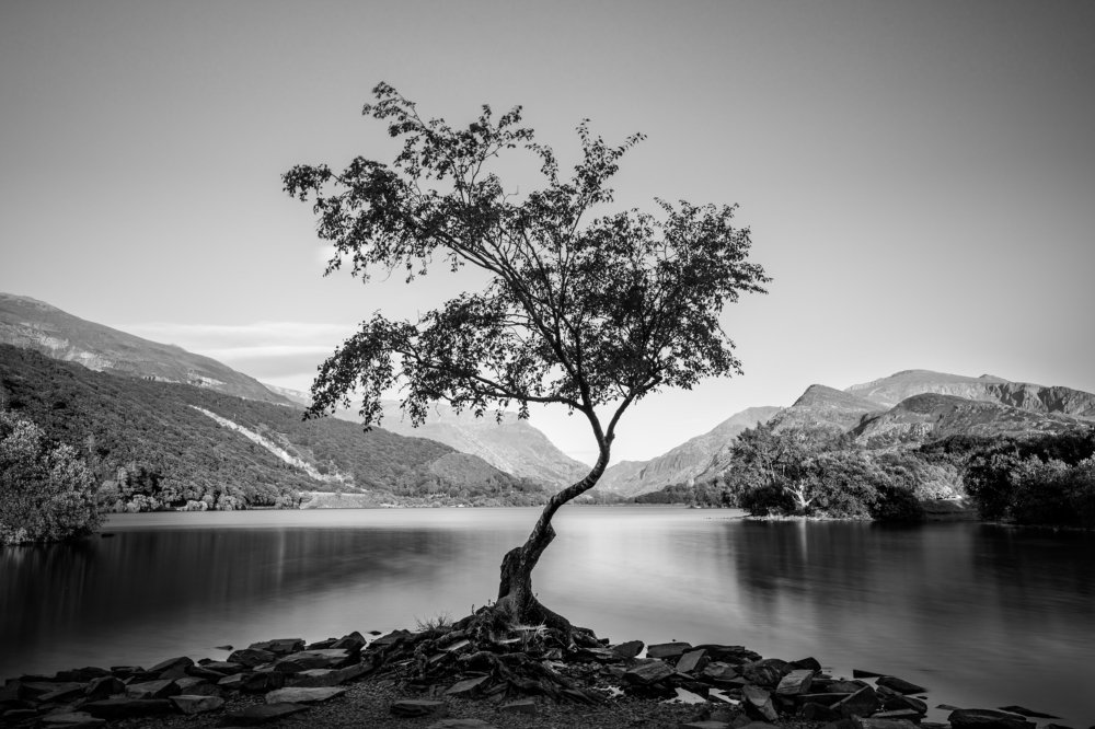 Photograph by Nerijus Siusa