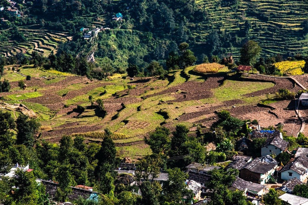 Photograph by Susobhan Biswas