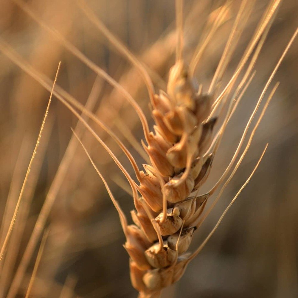 Photograph by Оксана Кочубеева