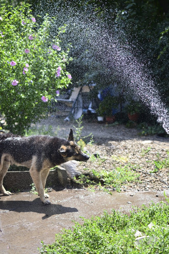 Photograph by Марина Згоник