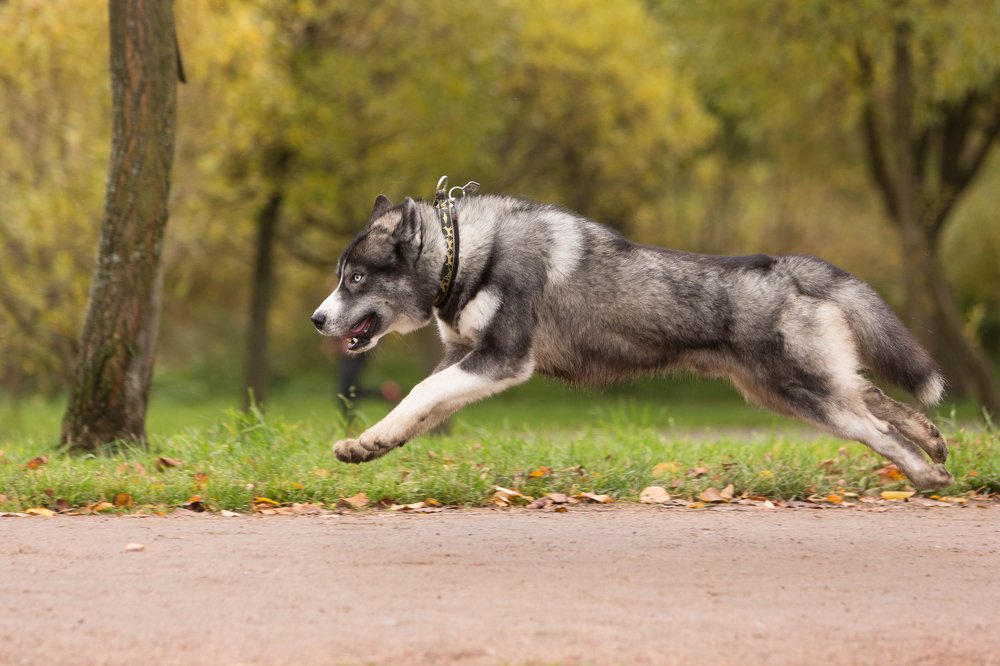 Photograph by София Дудова