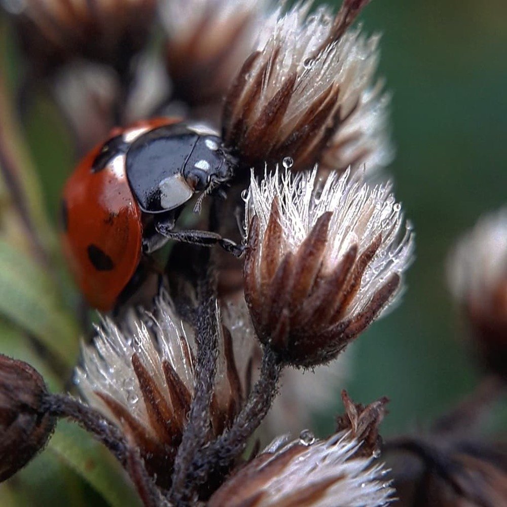 Photograph by Оксана Кочубеева