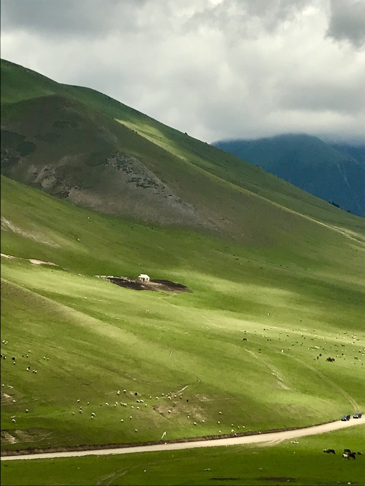 Photograph by Анар Амирова