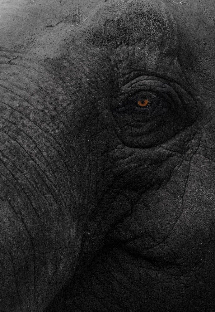 Photograph by Issam Bouanak