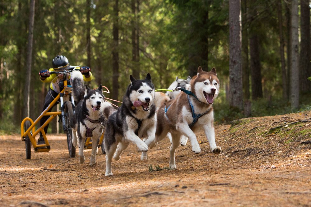 Photograph by София Дудова