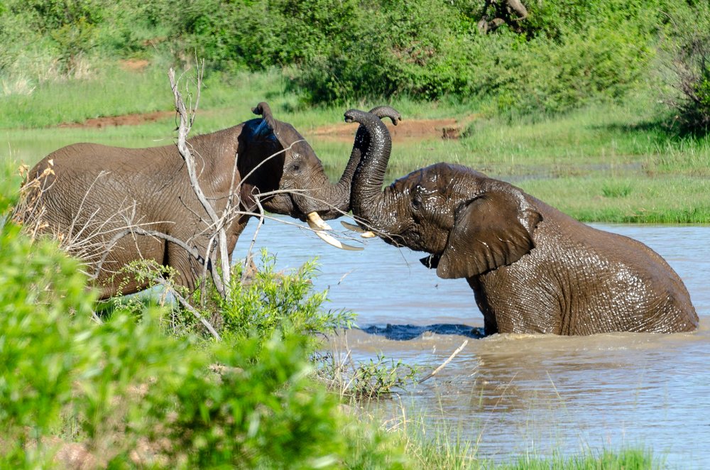 Photograph by Данил Луговой