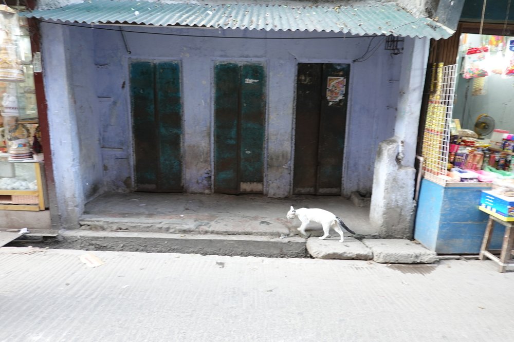 Photograph by Prokrety Prokrety