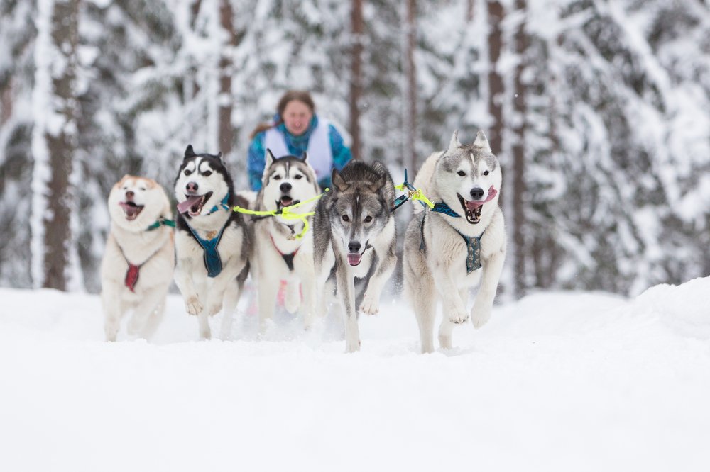 Photograph by София Дудова