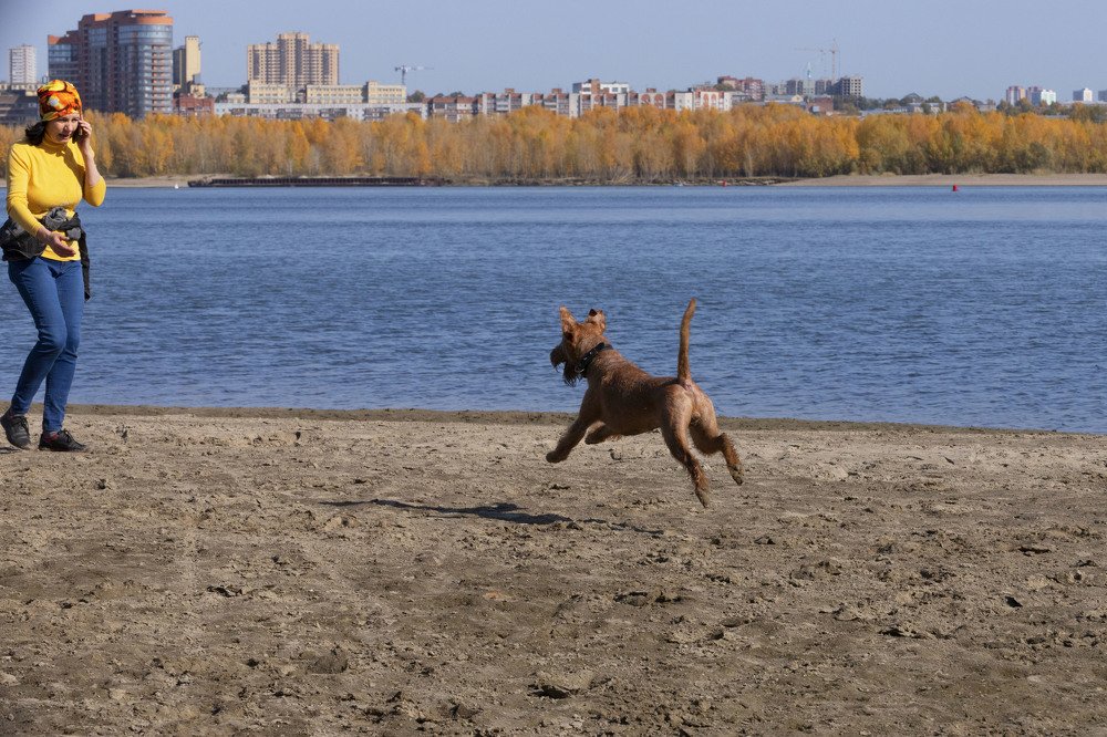 Photograph by ИРЕНА Федорова