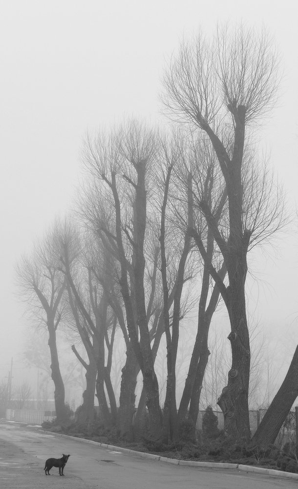 Photograph by Aeromast