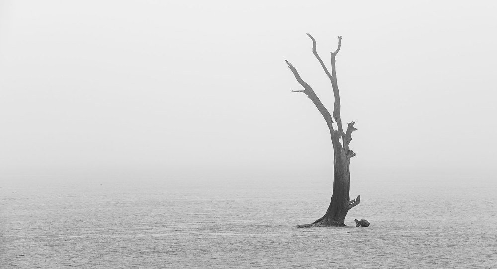 Photograph by Евгений Бушков