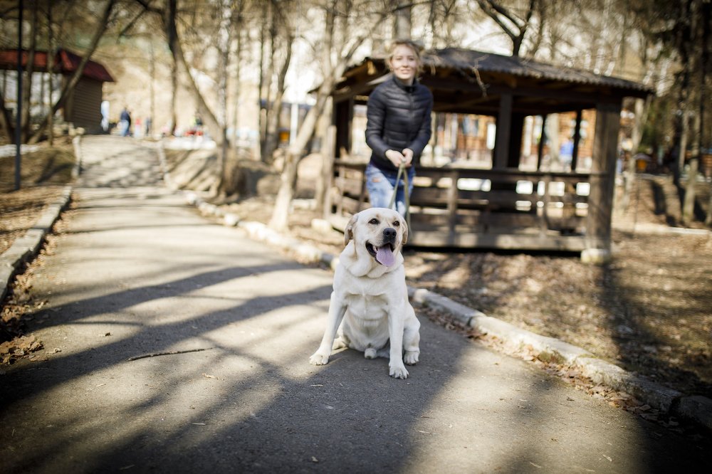 Фотография автора Анна Толмачева