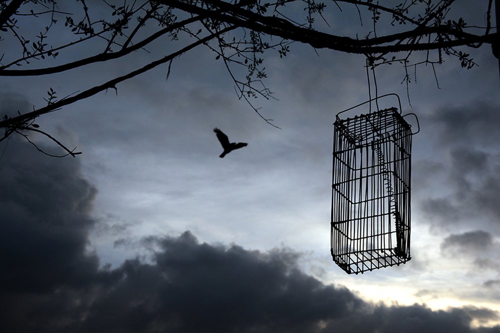 Photograph by  MD DIDARUL ALAM CHY