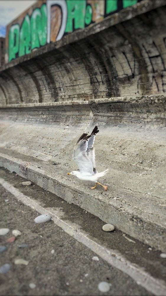 Photograph by Екатерина Амирасланова