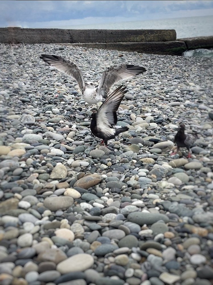 Photograph by Екатерина Амирасланова