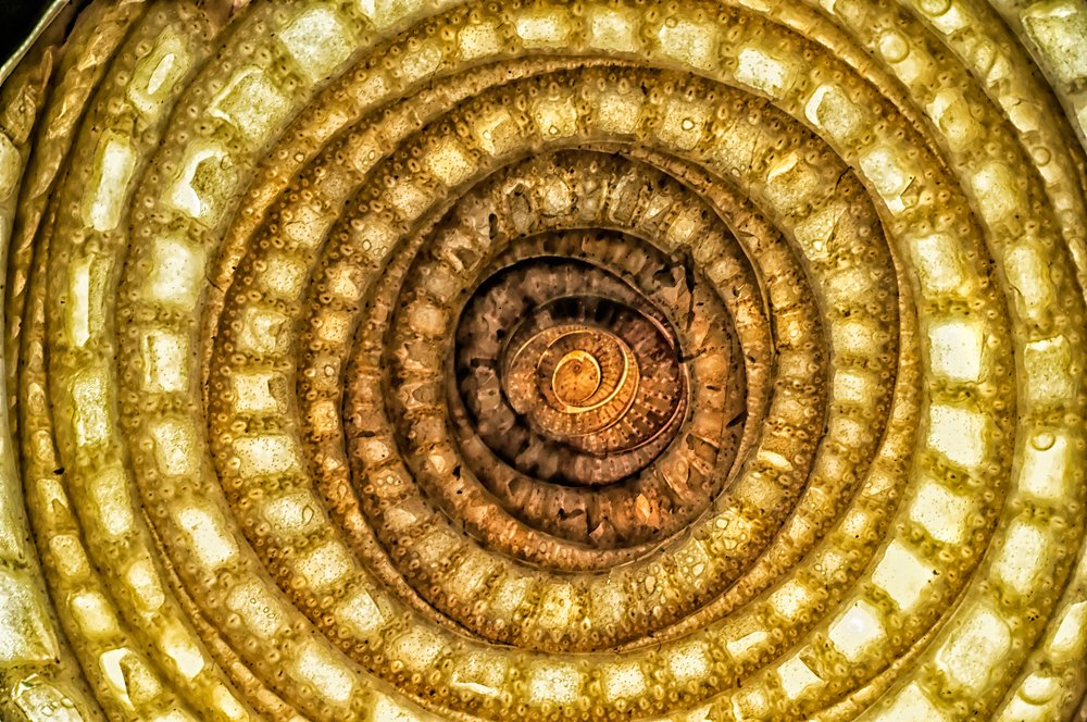 Photograph by Тараненко Анжелика