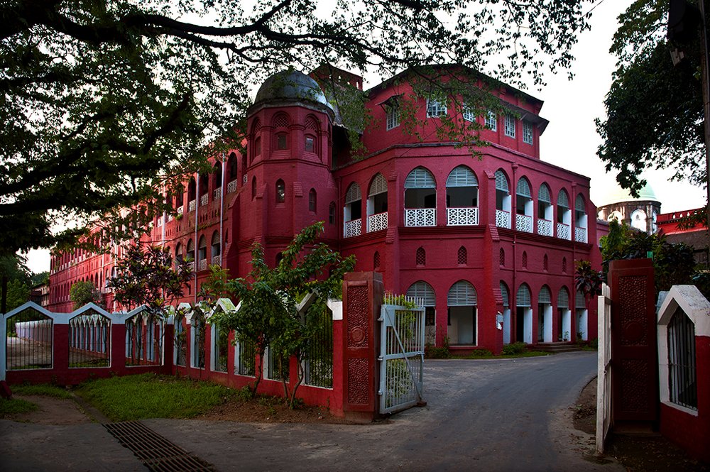 Photograph by  MD DIDARUL ALAM CHY