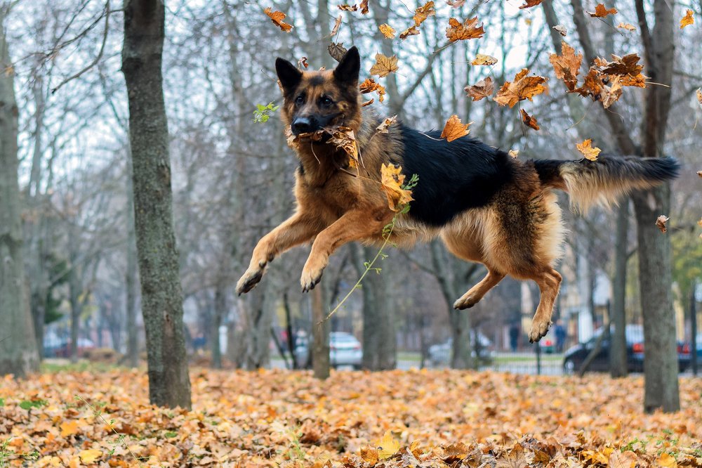 Фотография автора Ольга Тенилова