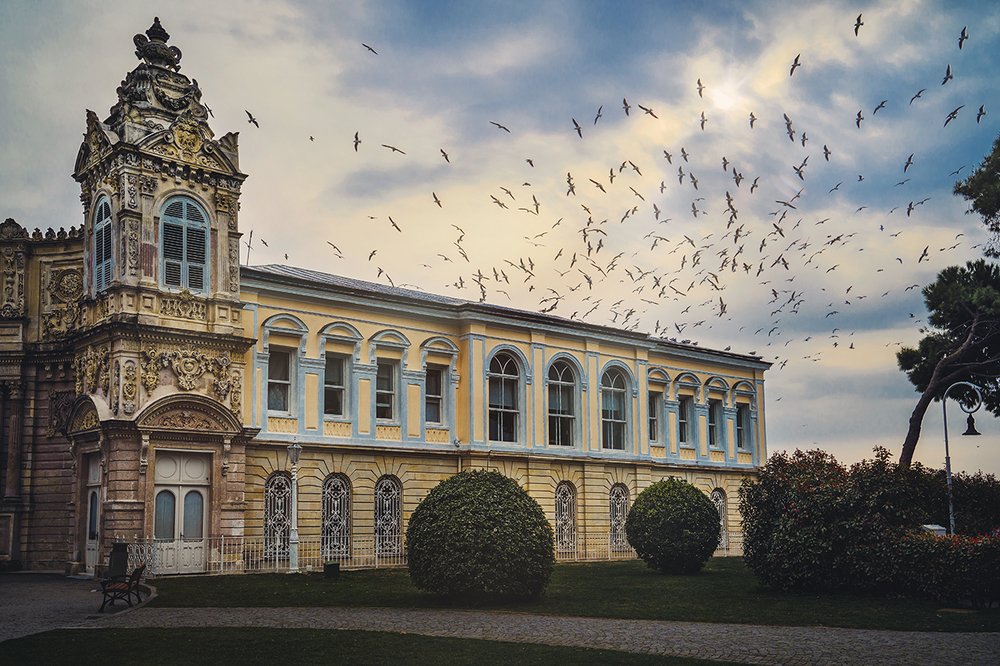 Photograph by Анатолий Гузенко