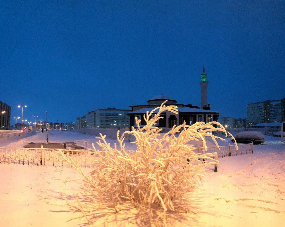 Photograph by Алексей Сазонов