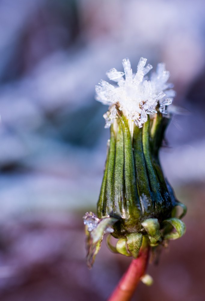 Photograph by Михаил Магид