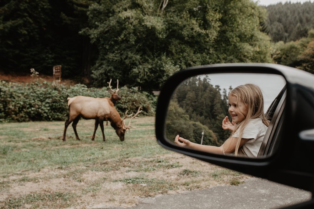 Photograph by Ruslan Pastushak