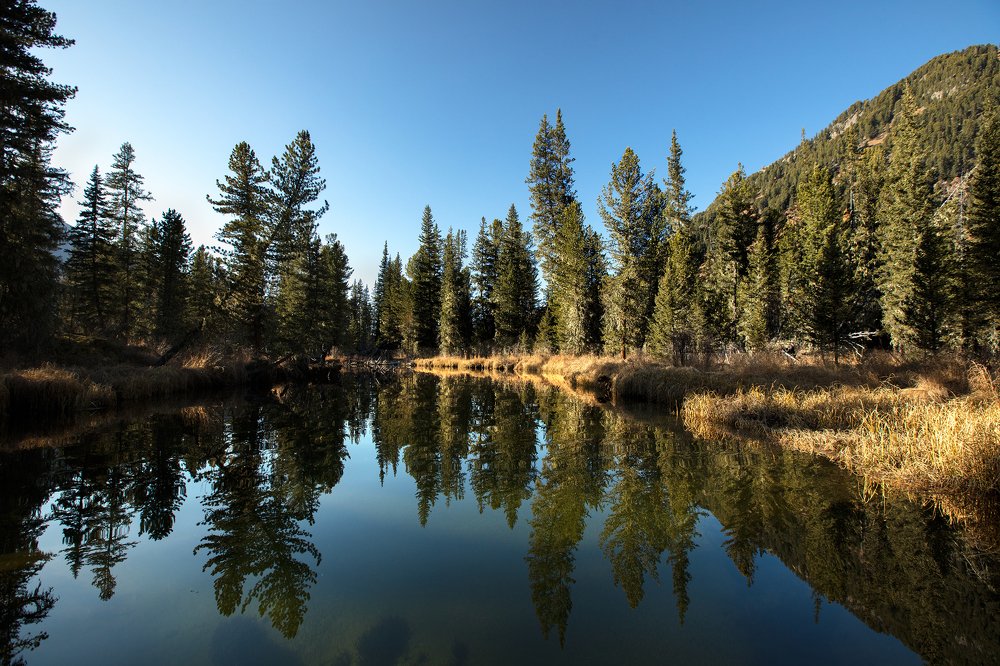 Photograph by Дериглазова Марина Владимировна