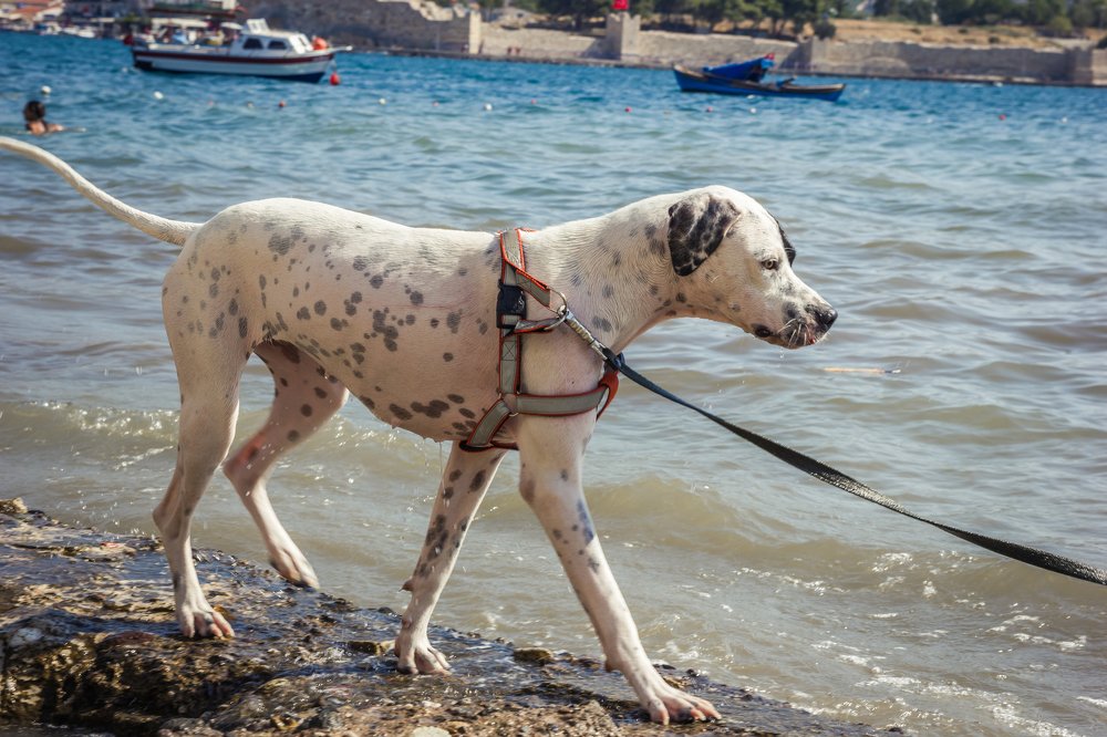 Photograph by Анна Еремина