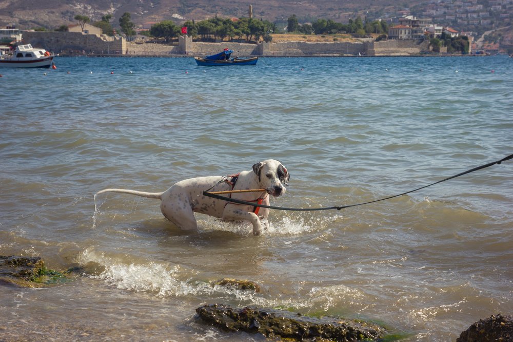 Photograph by Анна Еремина