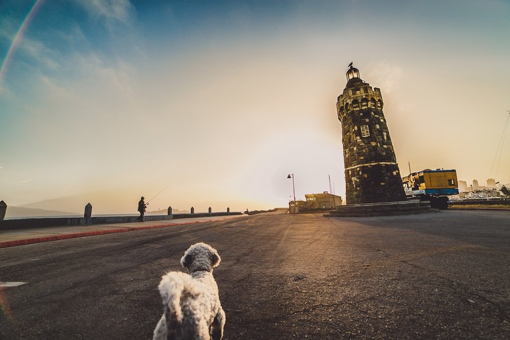 Photograph by Ruslan Pastushak