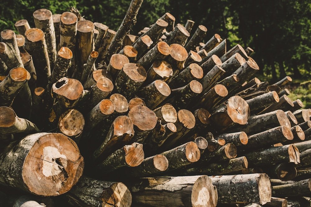 Photograph by Ruslan Pastushak