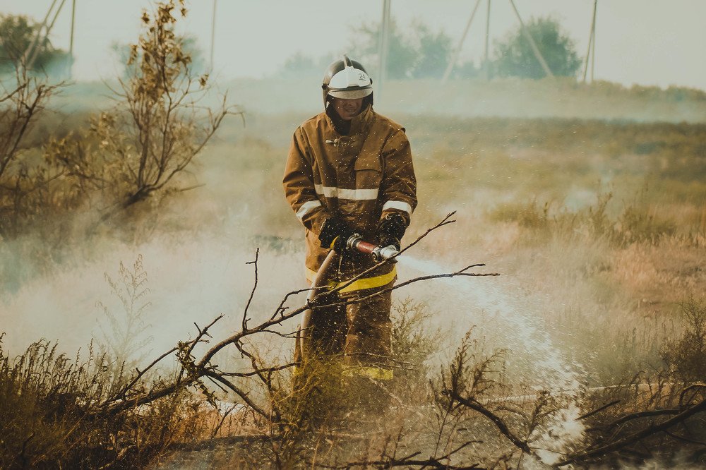 Задымлённые степи
