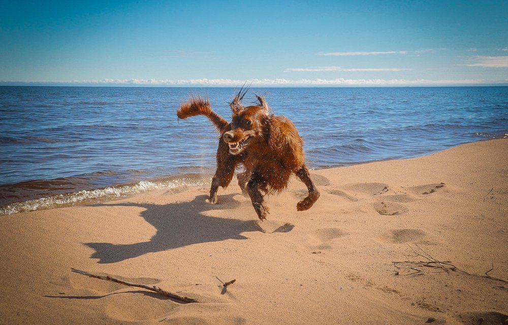 Photograph by Михаил Калинин