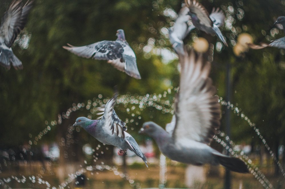 "Полёт нормальный"